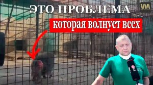 О каких проблемах вы говорите? Вот у Алексагиной в Тайгане - проблемы!, 16 августа