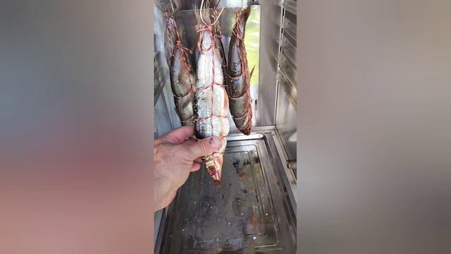 Мастерская ТехноФермер