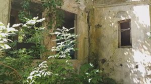 Кто кто в "заброшке" живёт? Абхазия