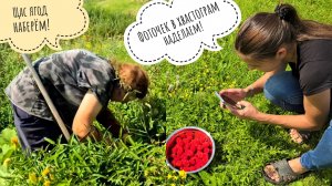 Собираем люто-малину граблями. Сестра брата Егора приехала! Счастье Псу Кубику привезла и не дала!