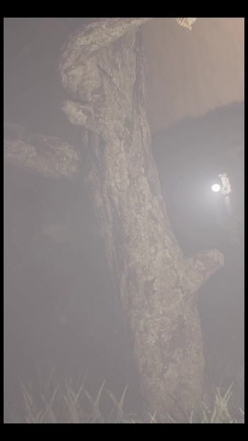 КОНЕЦ #dicha #видеоигры #games #игры #геймплей #shorts #barcha