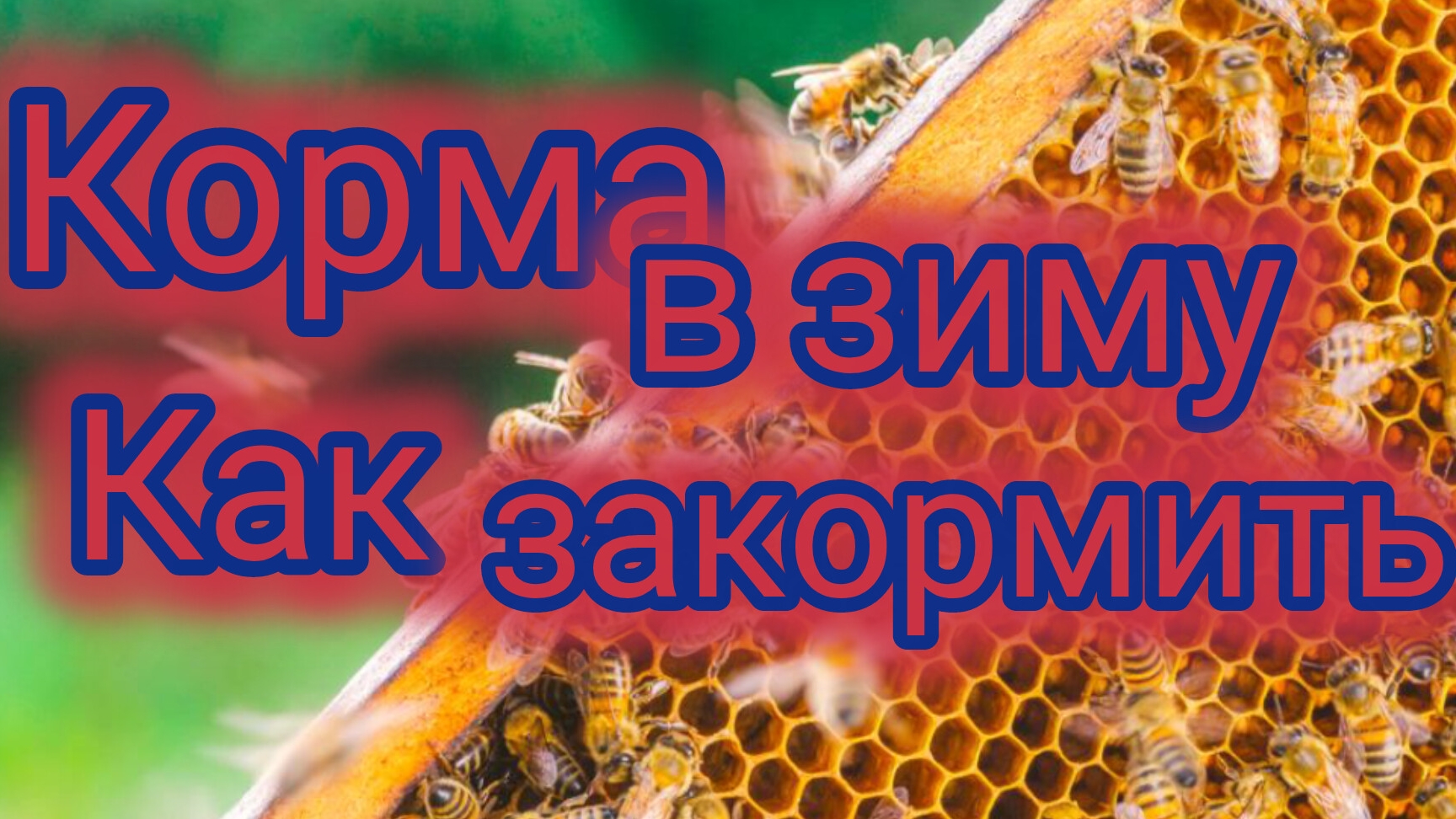 Корма в зиму.Как закормить...🐝 смотреть онлайн