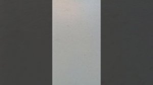 з бумажные собаки 🥰😊🤪