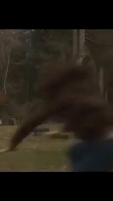 Волчьи мысли. Mafia: The Old Country