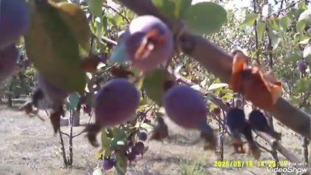 Мариуполь ⛵🇷🇺 в объективе смотреть онлайн