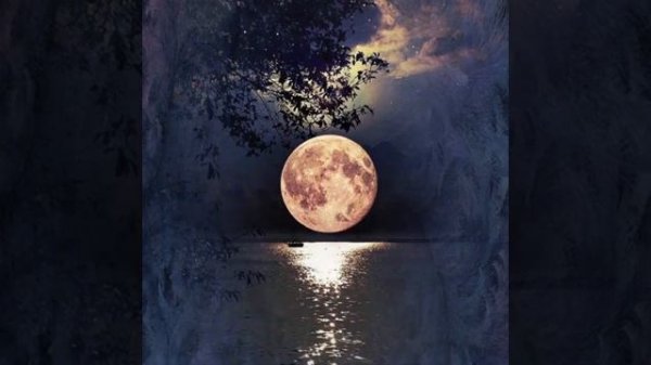 А над лагерем ночь ( cover Alex Brow Studio