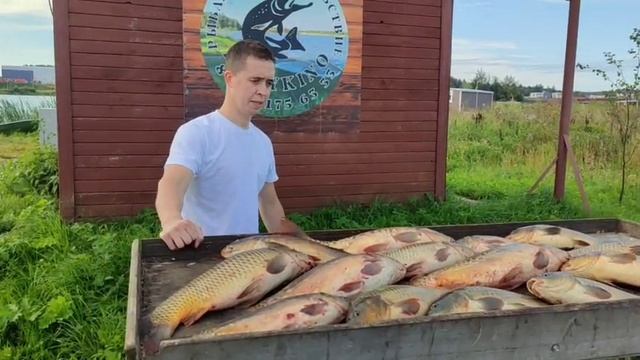 WhatsApp Video 2025-08-16 at 08.38.04 смотреть онлайн