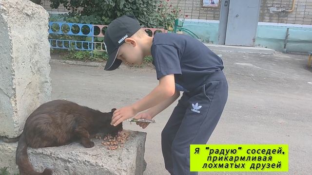 Моя пушистая мечта смотреть онлайн