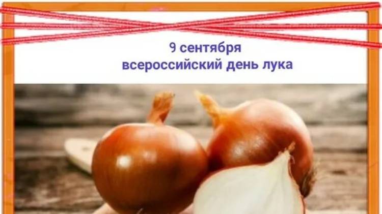 9 сентября День лука смотреть онлайн
