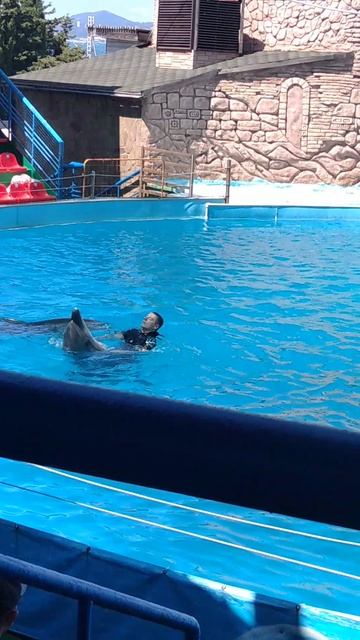 VID_20250816_125123.mp4