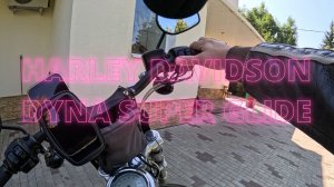 3 сезона на стиле. Дайна или Рояль