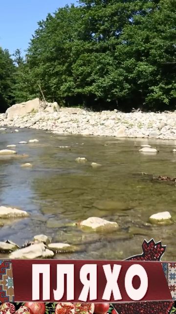 История села Пляхо смотреть онлайн