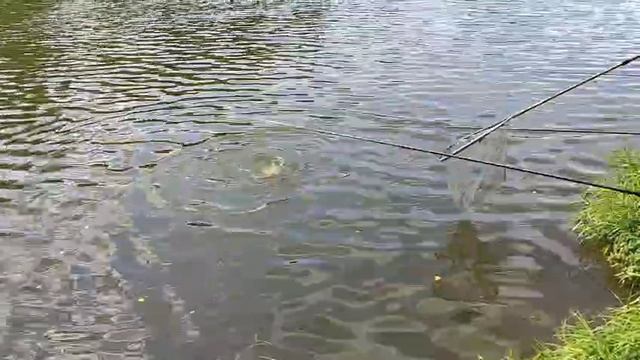 Зеркашик смотреть онлайн