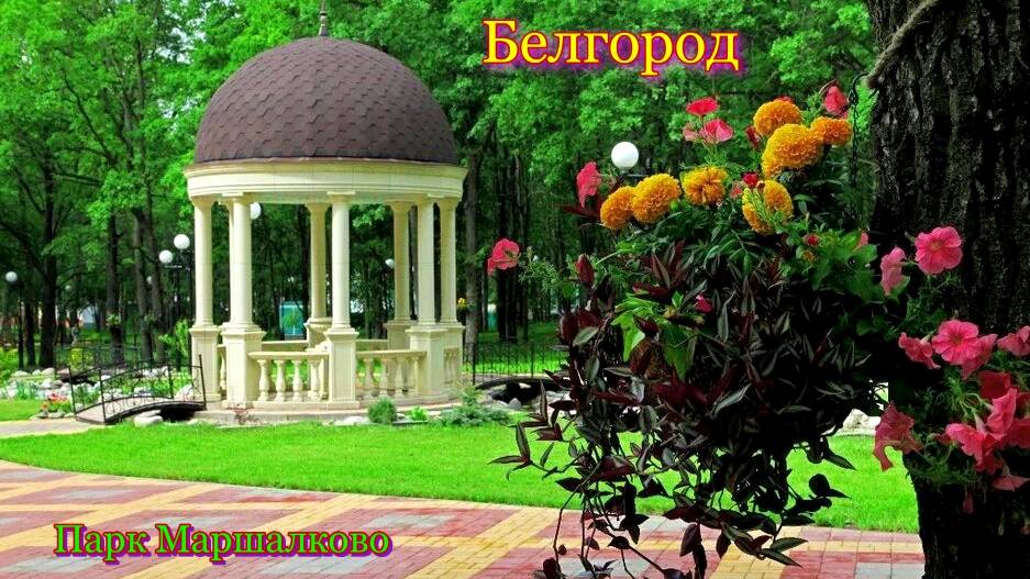 Белгород. Парк Маршалково в Строителе. Август 2025 год. смотреть онлайн