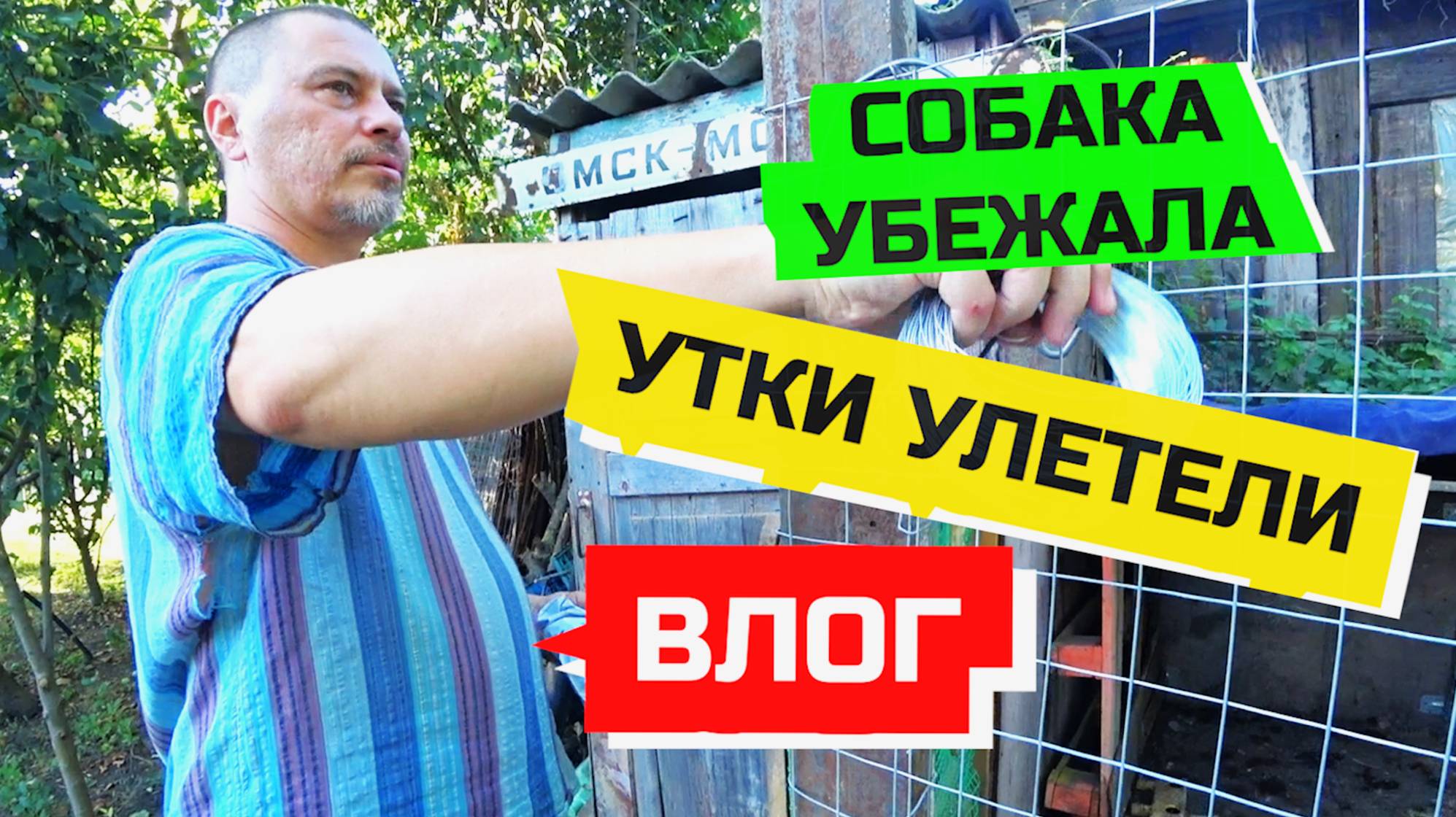 961 ВЛОГ ЗА НЕДЕЛЮ. СОБАКА УБЕЖАЛА. УТКИ УЛЕТЕЛИ, ВЕЛИК ПОЧИНИЛИ, УРОЖАЙ СОБРАЛИ. смотреть онлайн