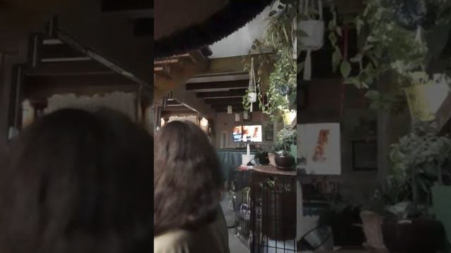 играю с котятами