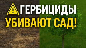 Гербициды: спасение от сорняков или гибель сада? #Газон #гербициды  #Сорняки