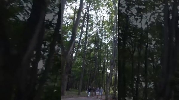 Парк Кусково. Пятница.