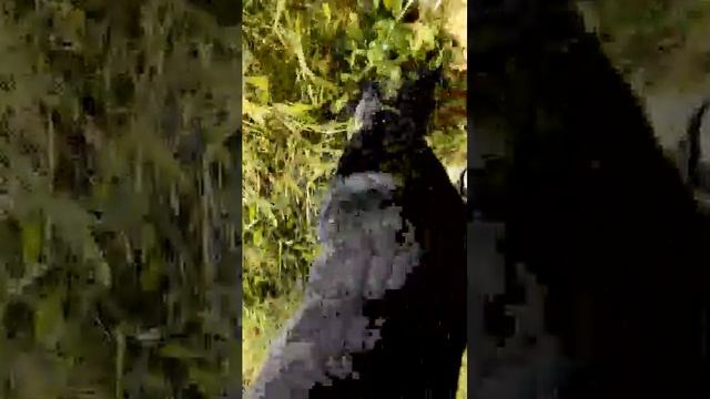 голубое озеро