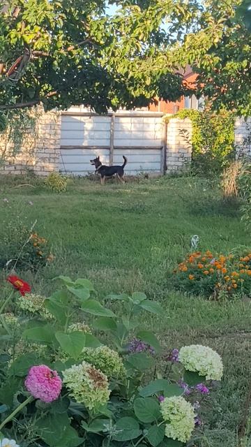 Нюша смотреть онлайн