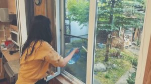 Москитная сетка "Антикошка" какова на прочность?