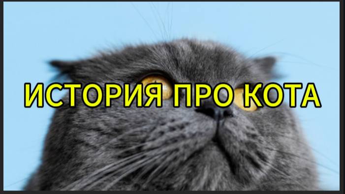 История про кота смотреть онлайн