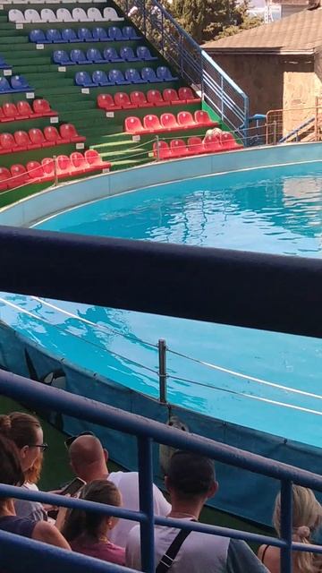 дельфинариум Адлер