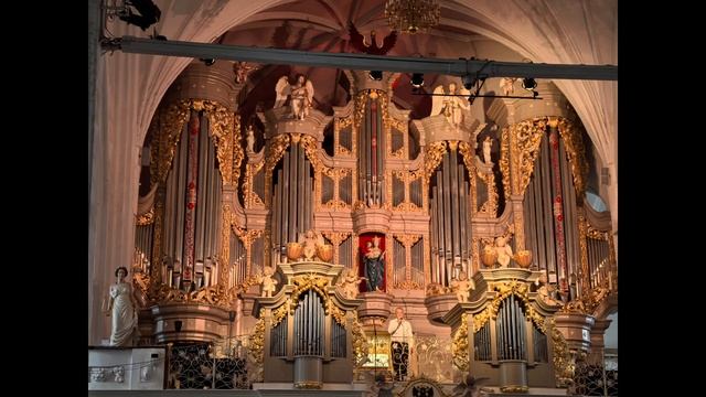 Калининград, о.Канта смотреть онлайн