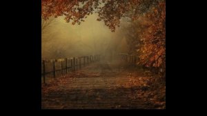 Сибирь 22-Melancholy of autumn