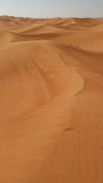 нет пианиста,который не ошибается