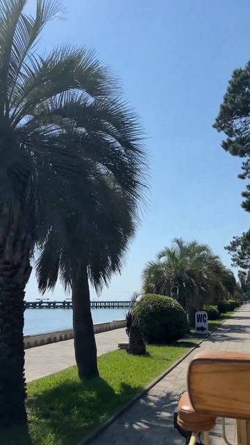 Прогулка по набережной в Старой Гагре на ретро-колеснице (август, ЛЕТО-2025) смотреть онлайн