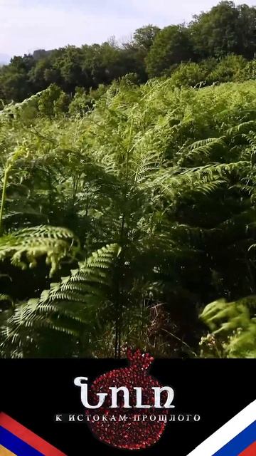 У моей России смотреть онлайн