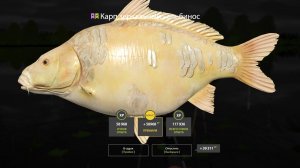 РАЗДАЧА ЦВЕТНЫХ КАРПОВ НА ЯНТАРНОМ ОЗЕРЕ, МОРСКОЙ ФАРМ В РУССКОЙ РЫБАЛКЕ 4 РР4