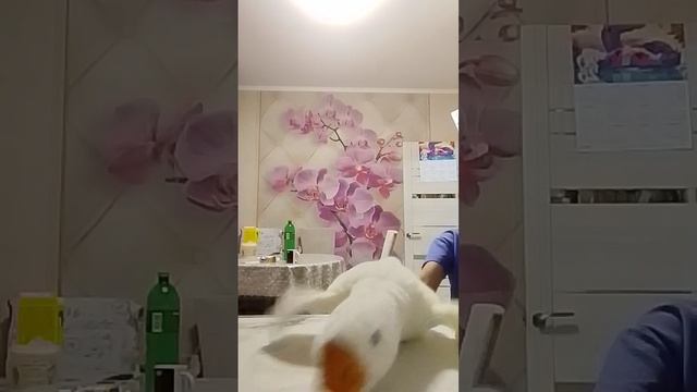 как надо готовить с печеньки 😈 смотреть онлайн