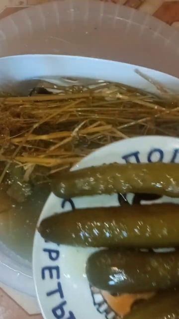 Какие огурцы для засолки лучшие смотреть онлайн