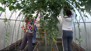 6 соток 13 августа 2025 года. Хроника