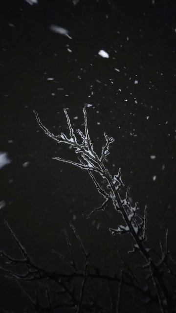 Beautiful snowflakes смотреть онлайн