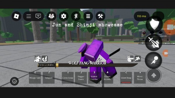 Fatal combat:Jun and Shinji showcase