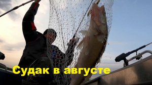 Подбор воблера в августе на примере двух рыбалок