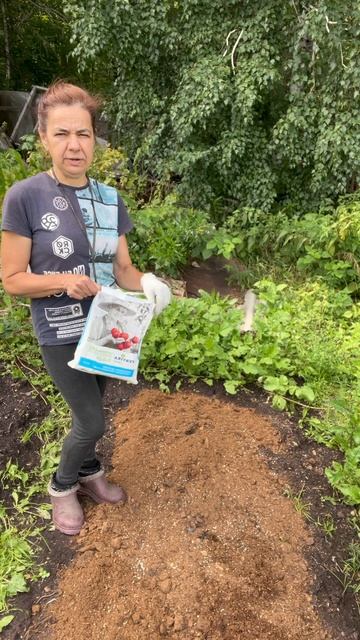 Готовлю грядки под высадку рассады клубники #клубника #грядки #рассада смотреть онлайн