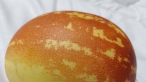 Вьетнамская мини дыня. Пробуем