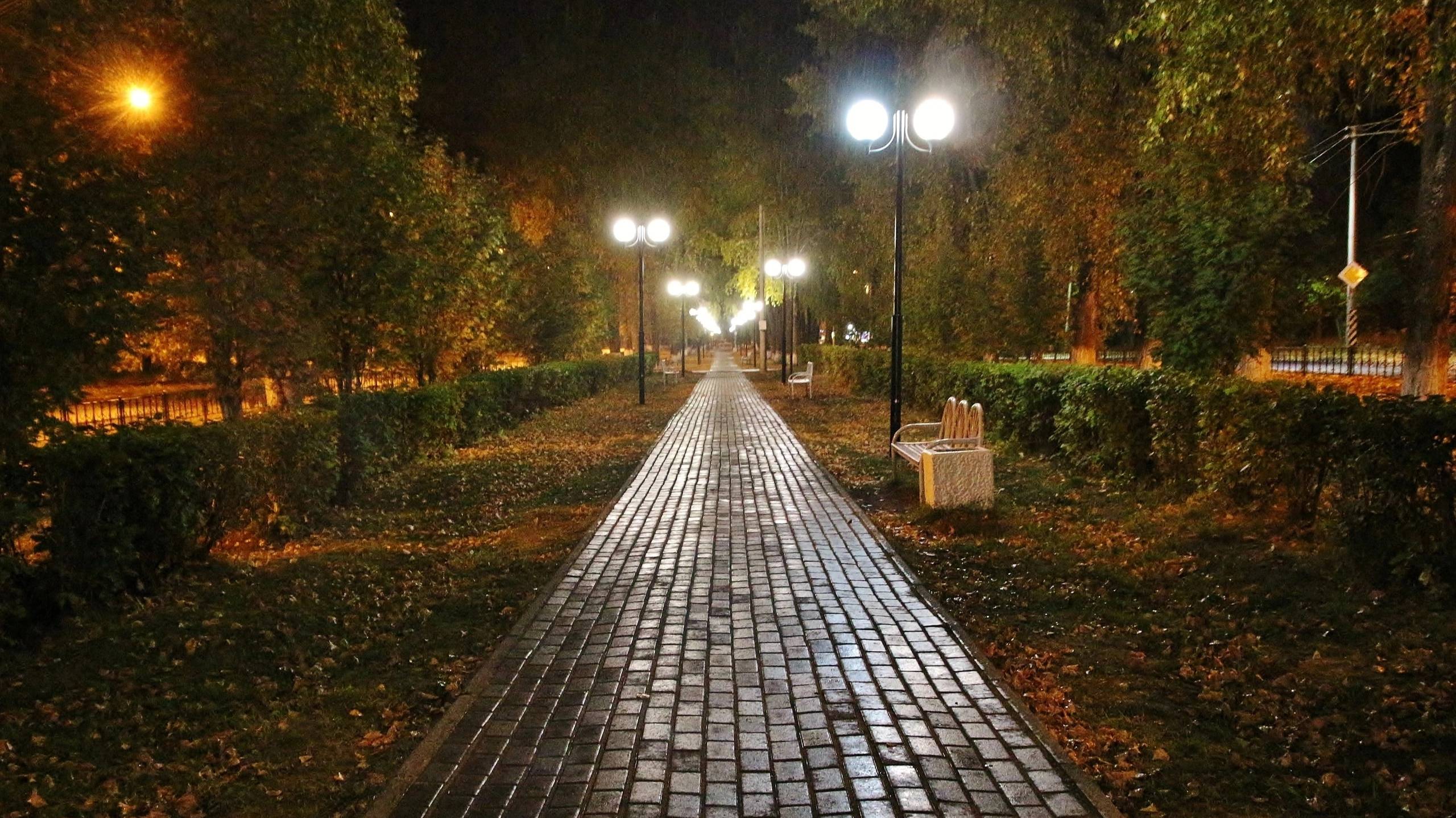 спокойной ночи