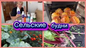 Для меня НАХОДКА. Опять наросли, не успеваю собирать. Аэрогриль выручает. Суп «ВОЛНА»