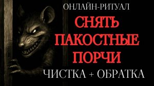 СТАВИМ ПАКОСТНИКОВ НА МЕСТО! ОНЛАЙН-РИТУАЛ С ОБРАТКОЙ