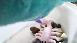 КРОШ УБИЛ МОЕГО ВТОРОГО ПИТОМЦА БЛАСТЕРОМ