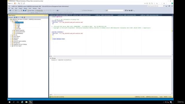 dba_7.10. Other system Databases (model,distribution) смотреть онлайн