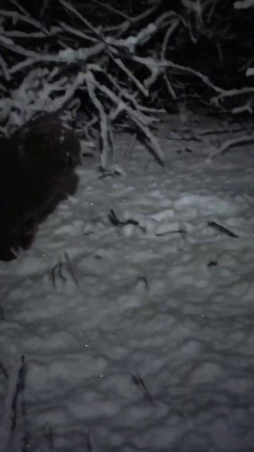 Падал снег смотреть онлайн
