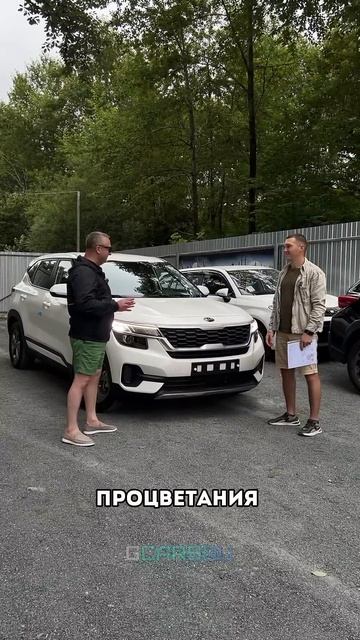 Выдача Kia Seltos 2020 года из Южной Кореи! #обзоравто #automobile #подержанныеавто #автоизкореи