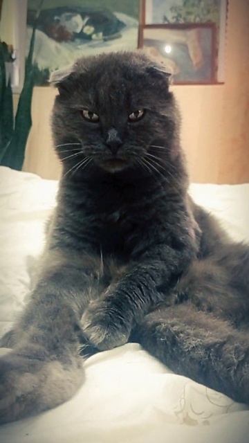Look at me!... смотреть онлайн