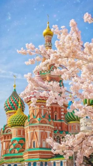 «Тень пытается показаться светом» ☦️ Игумен Тихон (Борисов)